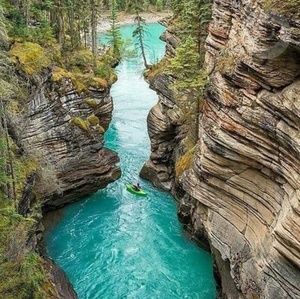 Meet your Posher, Vidal